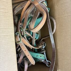 Horse Bridle and Halter Weaver Leather 1” Small Horse 500-800Lbs READ